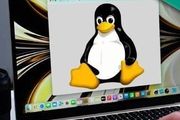 蘋果電腦裝Linux有顯示卡驅動了，首次兼容OpenGL ES標準，網友：逆向工程巨佬