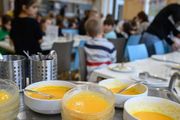 德國「政治正確」的新高度：小學及幼稚園將只提供素食，同時還要漲價！
