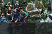 奇蹟！墜機後4名兒童在野外叢林中存活40天！13歲孩子帶隊求生，最小嬰兒僅11個月大