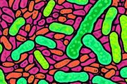 給生物學家出道數學題！如何用4種顏色標記10000種細菌？