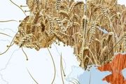 【糧食】烏克蘭想盡辦法運出糧食，收效甚微，俄方希望減少制裁方可重啟糧食協議