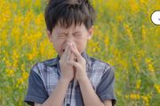 當心，過敏性鼻炎可能引起腺樣體肥大！很多家長都忽視了