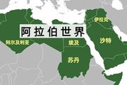 阿拉伯世界共有22國，誰有資格成為阿拉伯的「老大哥」？