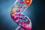 DNA+玻璃=比鋼輕五倍強度高四倍的新材料 | 科技趣評