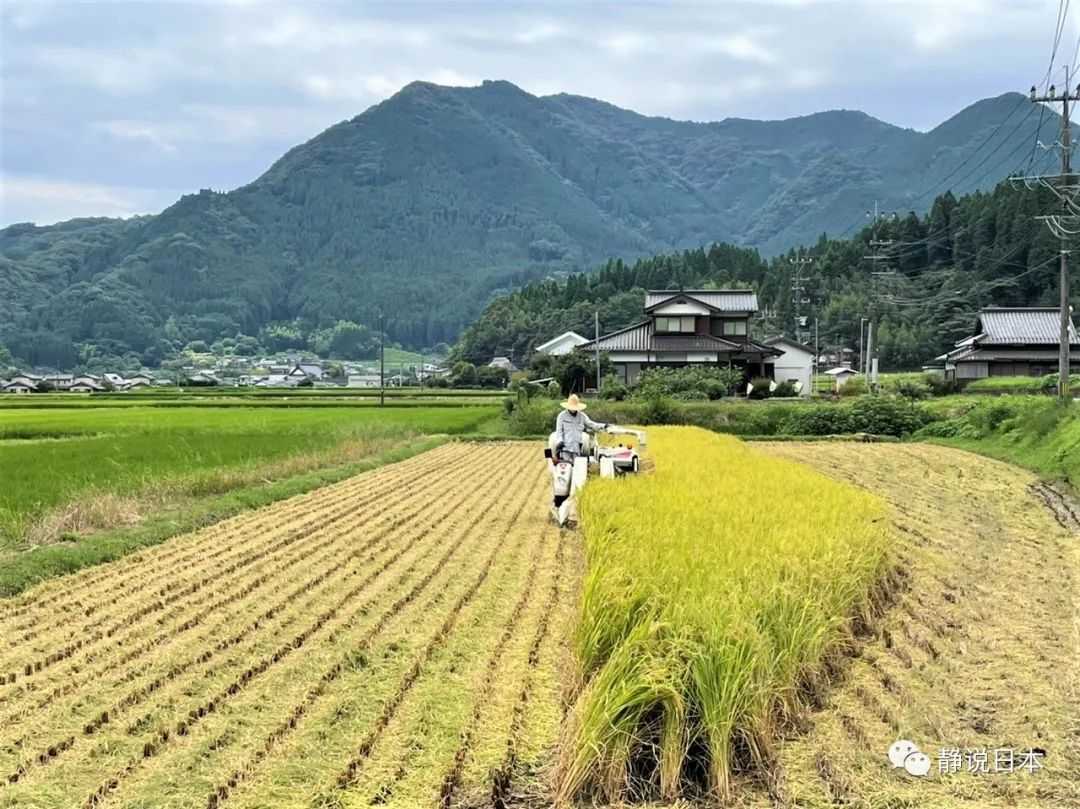 日本農村的風景