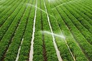 關於農田節水灌溉技術，你了解多少