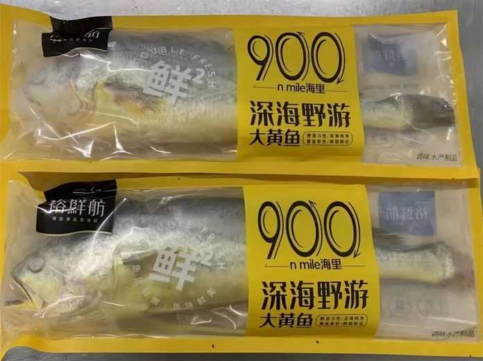 去年9月，國信1號養殖的黃花魚上市