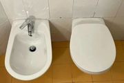 為什麼義大利酒店洗手間總有兩個「馬桶」並排放？