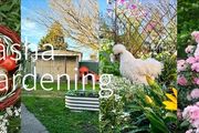 她在紐西蘭的後花園養雞種菜，還有超多造園種植乾貨，生活羨煞旁人！