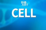 Cell｜人胚胎活體成像