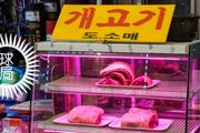 韓國，不讓吃狗肉了！