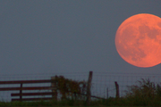 初升血月，大小反常，為什麼月亮看起來離我們時遠時近？