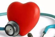 【世界心臟日】相知用心——如何維護心血管健康？