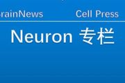 Neuron：整合fMRI與光遺傳學的全腦研究