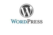 【漏洞通告】WordPress Advanced Custom Fields跨站腳本漏洞（CVE-2023-30777）