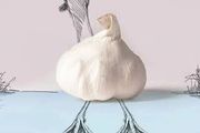 義大利插畫師用「食物」作畫，腦洞無敵，哈哈哈優雅又好笑！
