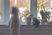 倆狗子用不到一年的時間，偷偷把擺滿花盆的飄窗變成了「狗窩」！