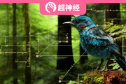 AI「鳥口普查」，康奈爾大學利用深度學習分析北美林鶯分佈