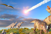 蟑螂如何在造成了恐龍滅絕的隕石影響下存活