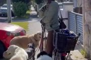 澳女騎車遛狗遭猛烈抨擊！在新州這樣做算違法，恐被罰$1000！