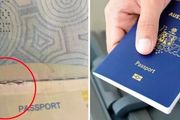 只因護照上有這個，澳洲大批人登機被拒、機票作廢！澳知名律師落地即遭拘留，面臨鉅額罰款，甚至涉嫌偷渡！這些問題，華人千萬注意！