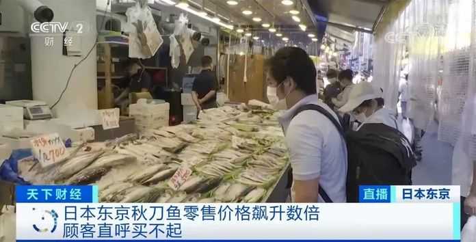 秋刀魚價格飆升/CCTV2截圖