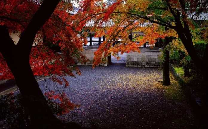到了秋天，日本人們就會倍感憂傷寂寞/unsplash